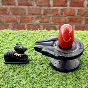unique narmadeshwar shivling