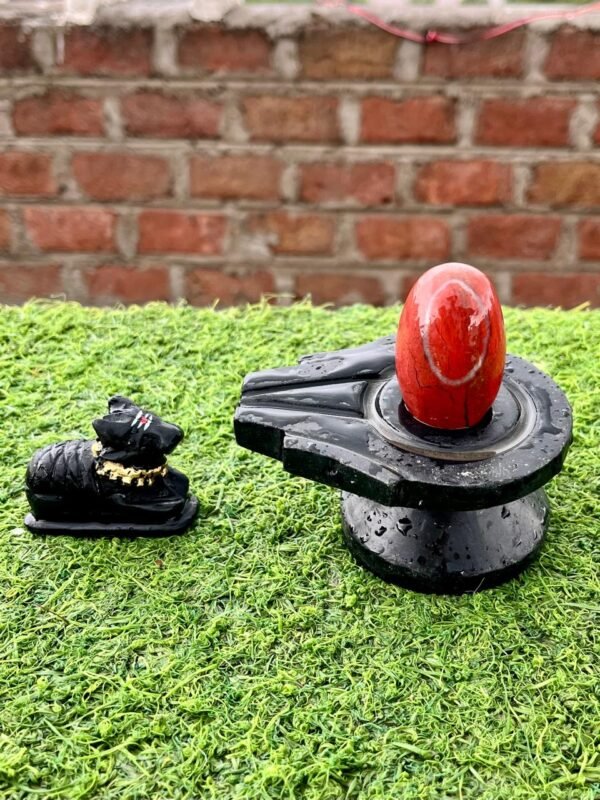 unique narmadeshwar shivling