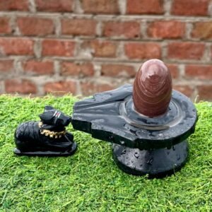 narmadeshwar shivling