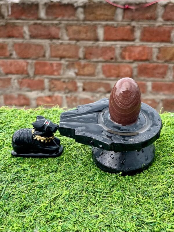 narmadeshwar shivling